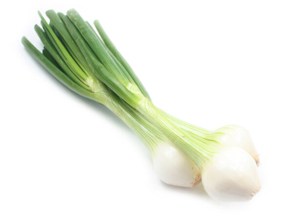 Oignon botte